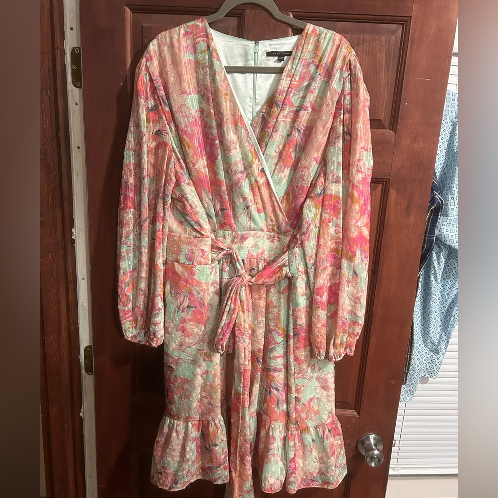 24W Alex Marie Long Sleeve Dress
